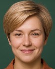 Pixie-bob moderno