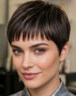 Corte pixie atrevido