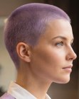 Corte rapado morado