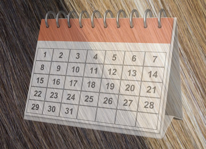 Calendario de coloraci&oacute;n capilar