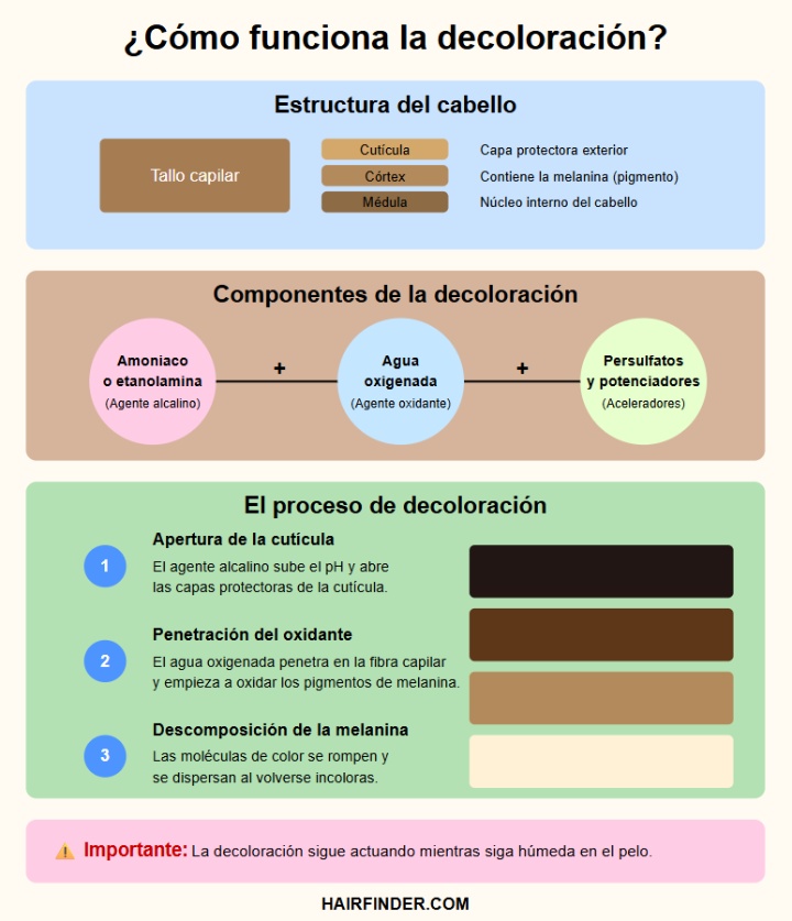Infografía — Cómo funciona la decoloración